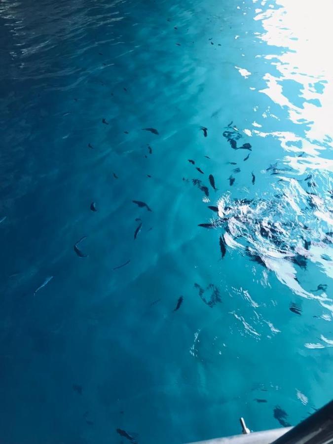 فاليرنا B&B Calabria Mare المظهر الخارجي الصورة