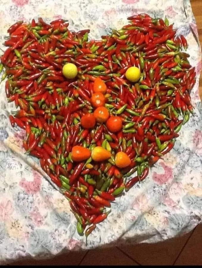 فاليرنا B&B Calabria Mare المظهر الخارجي الصورة